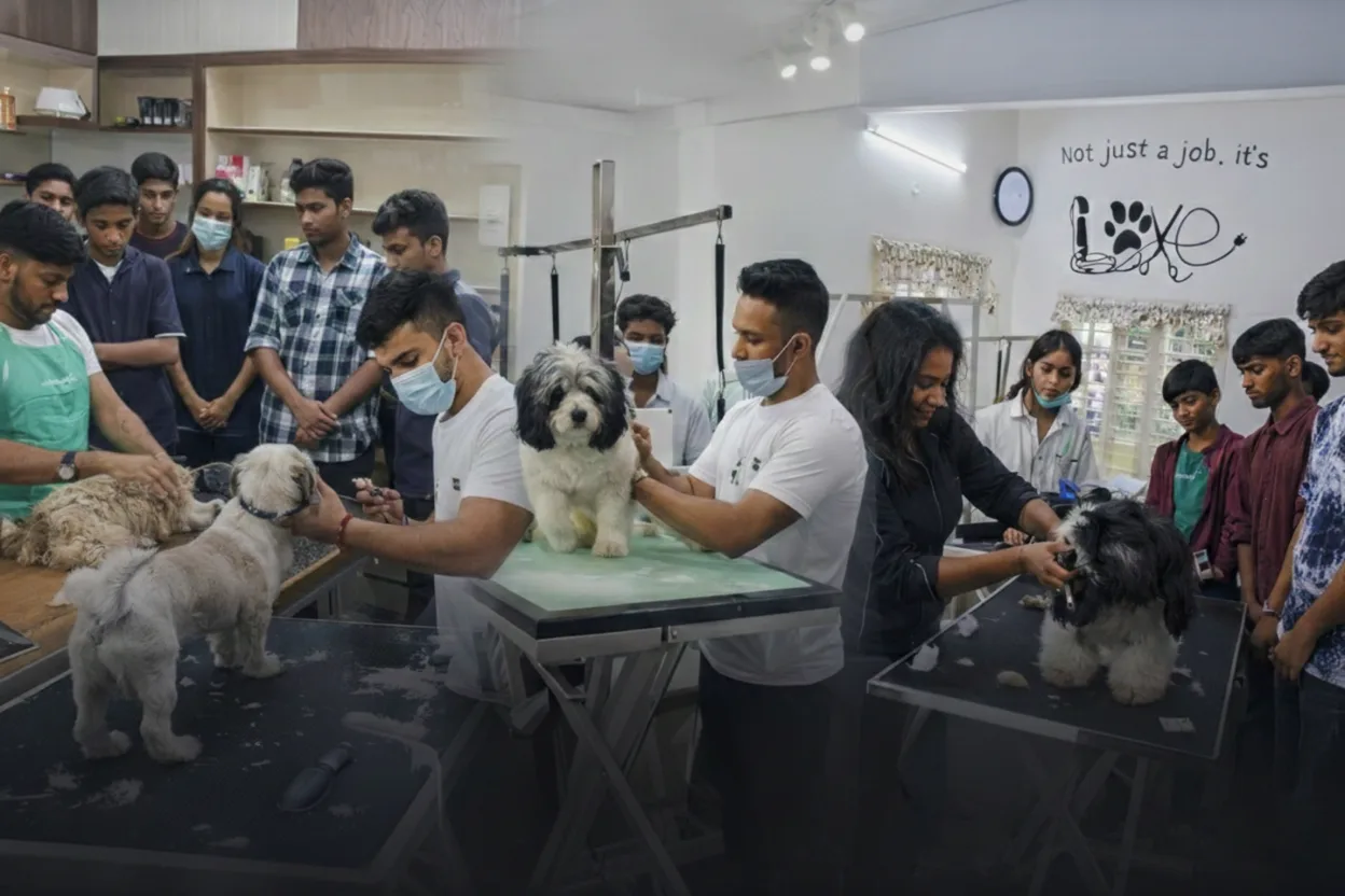 Students training in pet grooming, dog handling and urban walking at IPPC Bengaluru.