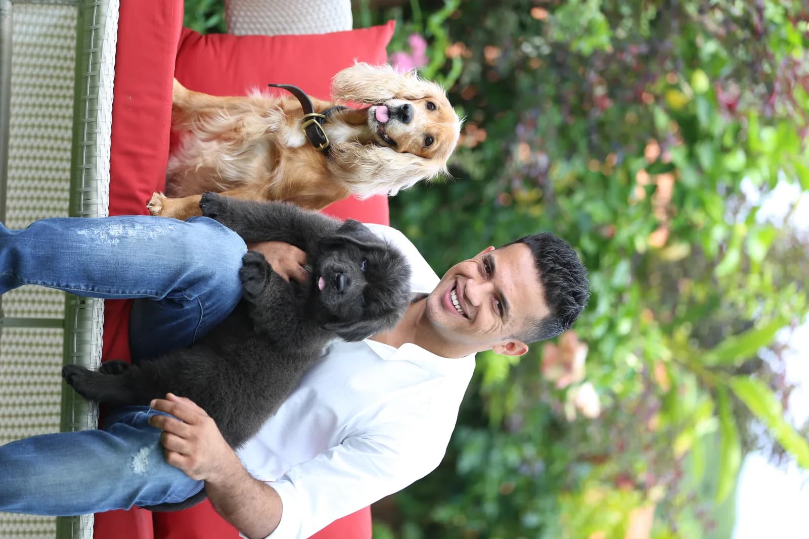 Prateek Bilagali Ashok, International Certified Master Groomer and Founder of IPPC Academy, with two groomed dogs.